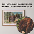 Vintage wildlife postcard print of a grizzly bear in a natural woodland setting. Printed as a giclée fine art print on archival matte paper.