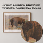 Vintage wildlife postcard print of a buffalo grazing against the open landscape of Yellowstone National Park. Printed as a giclée fine art print on archival matte paper.