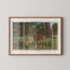 Vintage wildlife illustration postcard print of a deer standing alert among tall trees in a wooded forest scene. Printed as a giclée fine art print on archival matte paper.