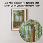 Vintage landscape postcard print of the massive General Sherman giant sequoia tree towering over the forest floor. Printed as a giclée fine art print on archival matte paper.