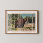Vintage wildlife postcard print of a grizzly bear in a natural woodland setting. Printed as a giclée fine art print on archival matte paper.
