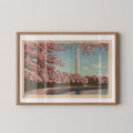 Vintage horizontal landscape postcard print of the Washington Monument framed by flowering pink cherry blossom branches in Washington, D.C. Printed as a giclée fine art print on archival matte paper.