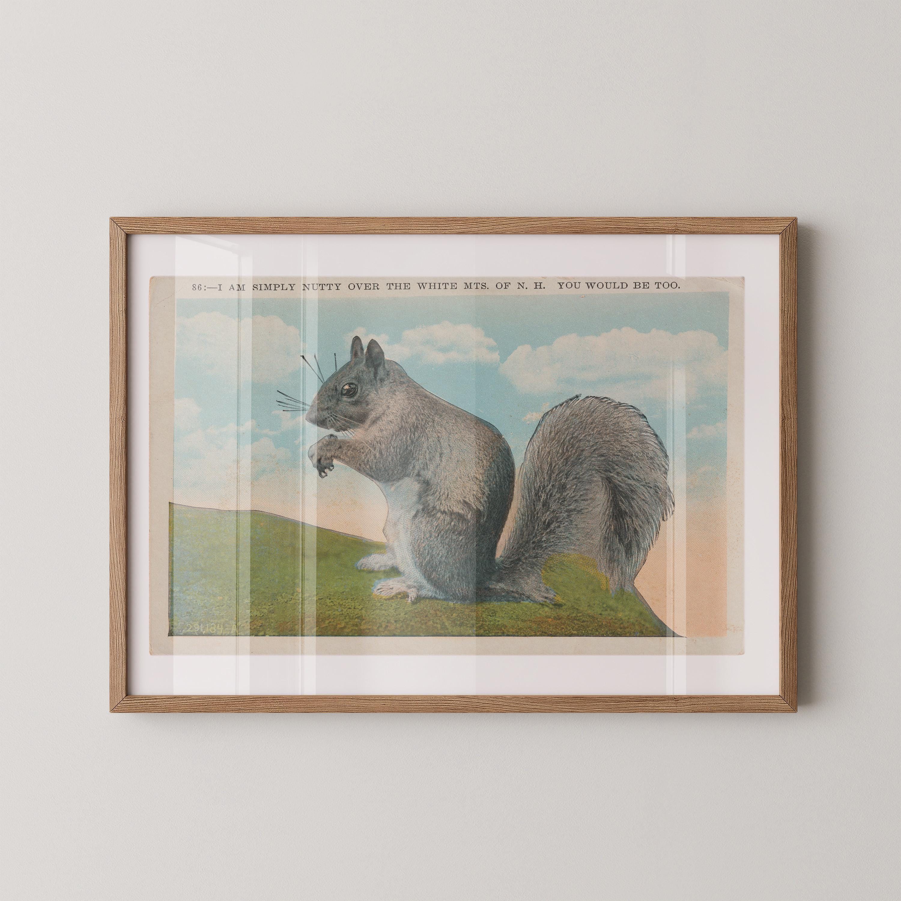 Vintage wildlife illustration postcard print of a squirrel perched among tree branches. Printed as a giclée fine art print on archival matte paper.