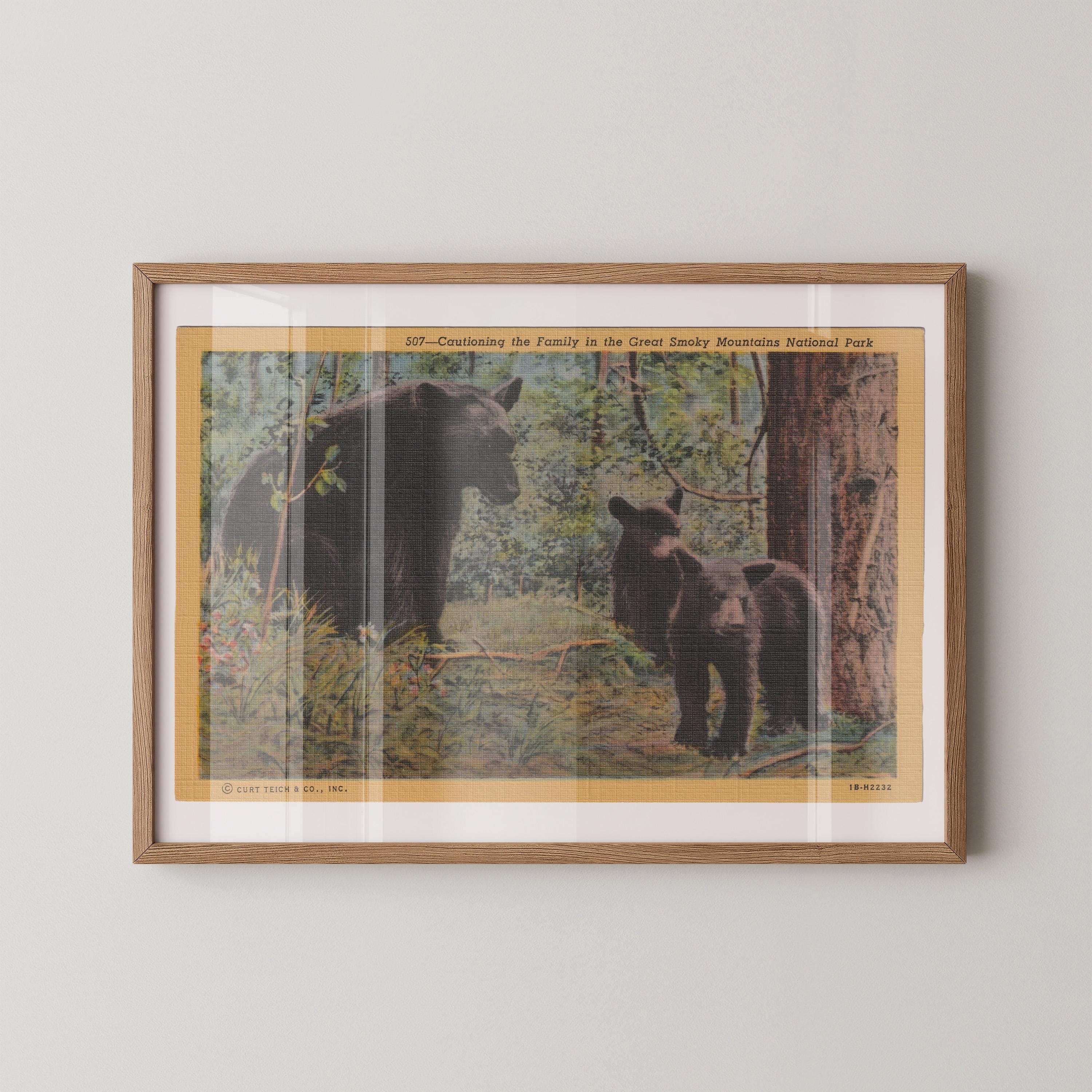Vintage wildlife postcard print of black bears exploring a wooded forest setting. Printed as a giclée fine art print on archival matte paper.