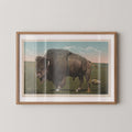 Vintage wildlife postcard print of a buffalo grazing on the open grasslands of the Great Plains. Printed as a giclée fine art print on archival matte paper.