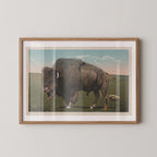 Vintage wildlife postcard print of a buffalo grazing on the open grasslands of the Great Plains. Printed as a giclée fine art print on archival matte paper.