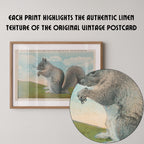 Vintage wildlife illustration postcard print of a squirrel perched among tree branches. Printed as a giclée fine art print on archival matte paper.