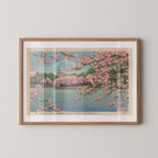 Vintage landscape postcard print of the U.S. Capitol Building's dome framed by blooming pink cherry blossom trees, Washington, D.C. Printed as a giclée fine art print on archival matte paper.