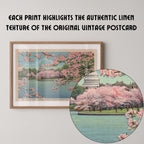 Vintage landscape postcard print of the U.S. Capitol Building's dome framed by blooming pink cherry blossom trees, Washington, D.C. Printed as a giclée fine art print on archival matte paper.