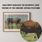 Vintage wildlife postcard print of a longhorn cow standing in an open Western pasture. Printed as a giclée fine art print on archival matte paper.