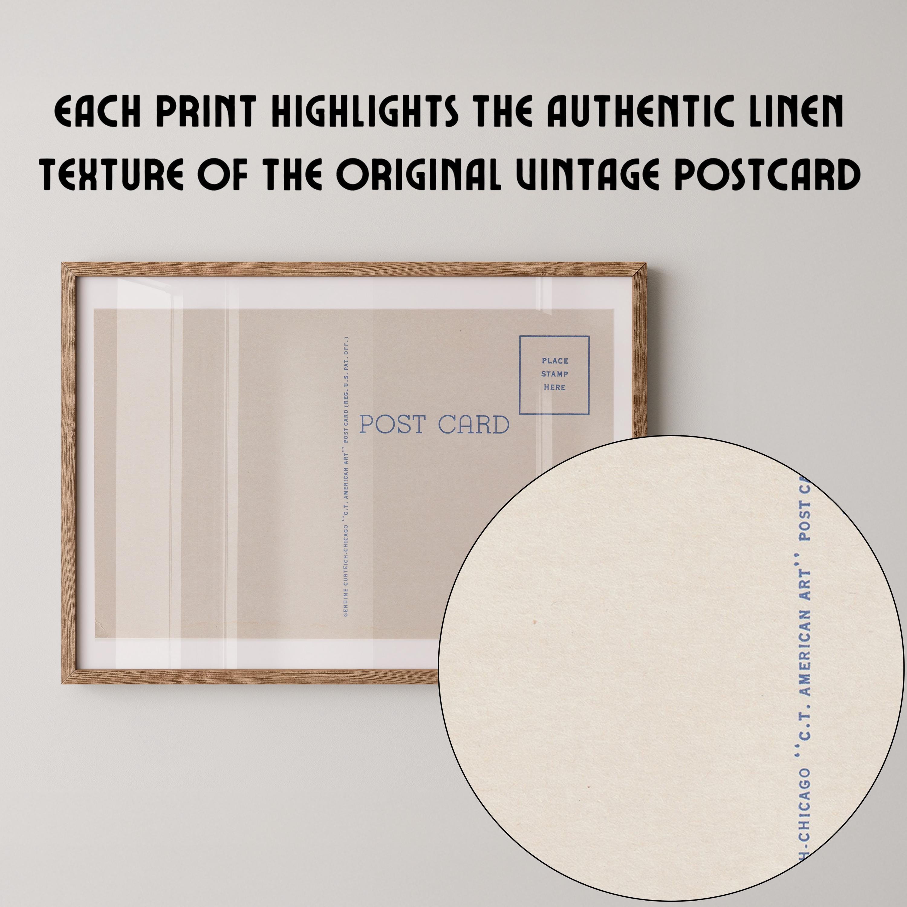 Vintage postcard-style print featuring a blank correspondence postcard design, with divided lines and vintage typography and no destination text. Printed as a giclée fine art print on archival matte paper.