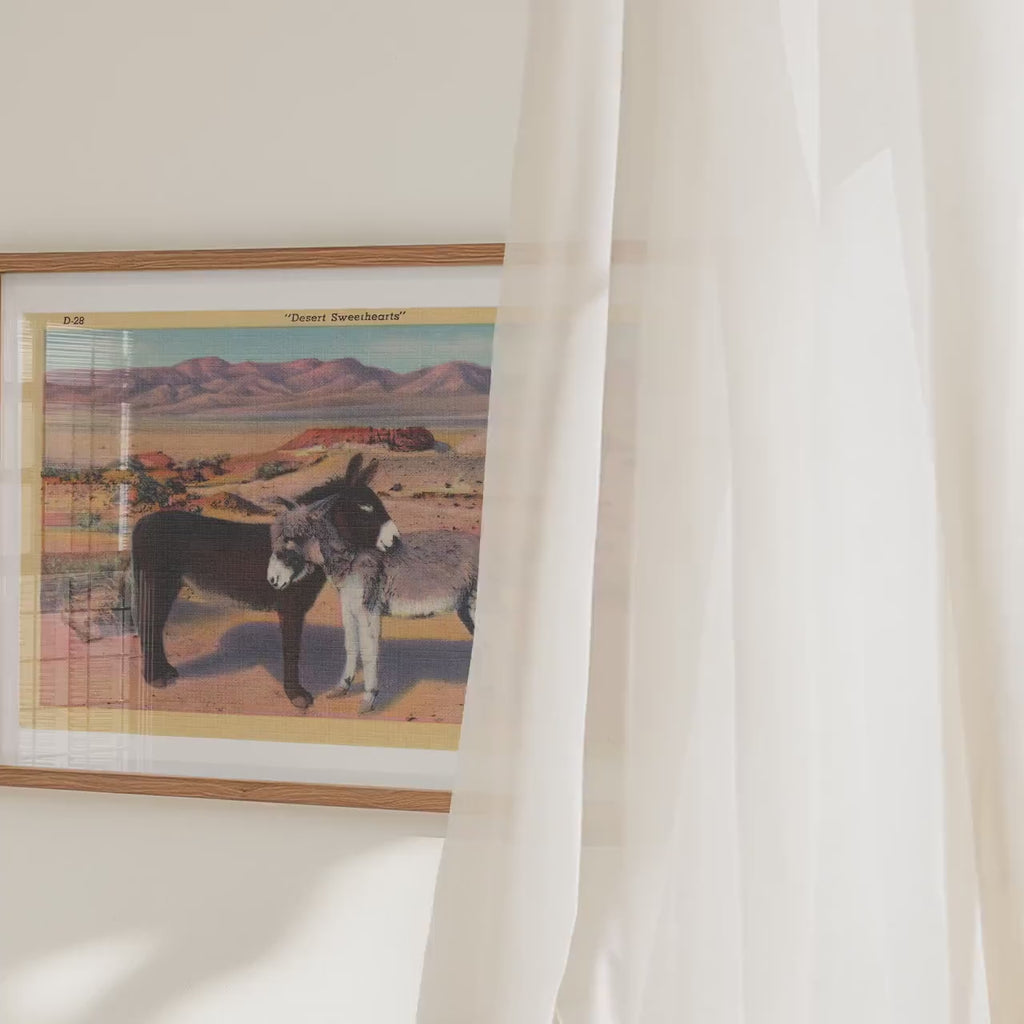Donkeys in the Desert Poster   Postcard