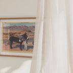Donkeys in the Desert