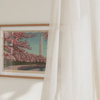 Washington Monument in Cherry Blossoms Horizontal Landscape