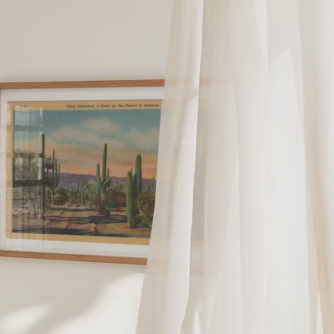 Desert Cactus   Landscape Postcard : Fine Art Paper Print Framed or Unframed