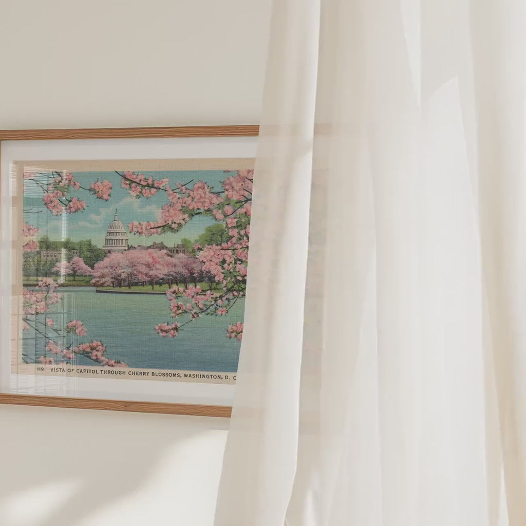 Washington Capitol Building in Cherry Blossoms   Landscape Postcard : Fine Art Paper Print Framed or Unframed