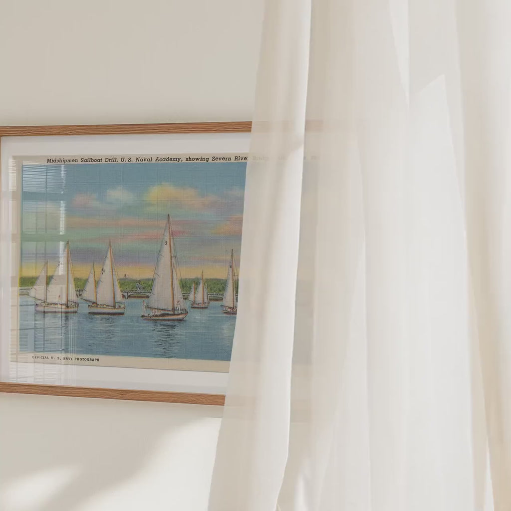 Sailboats on the Severn River Annapolis Maryland Landscape Poster   Postcard