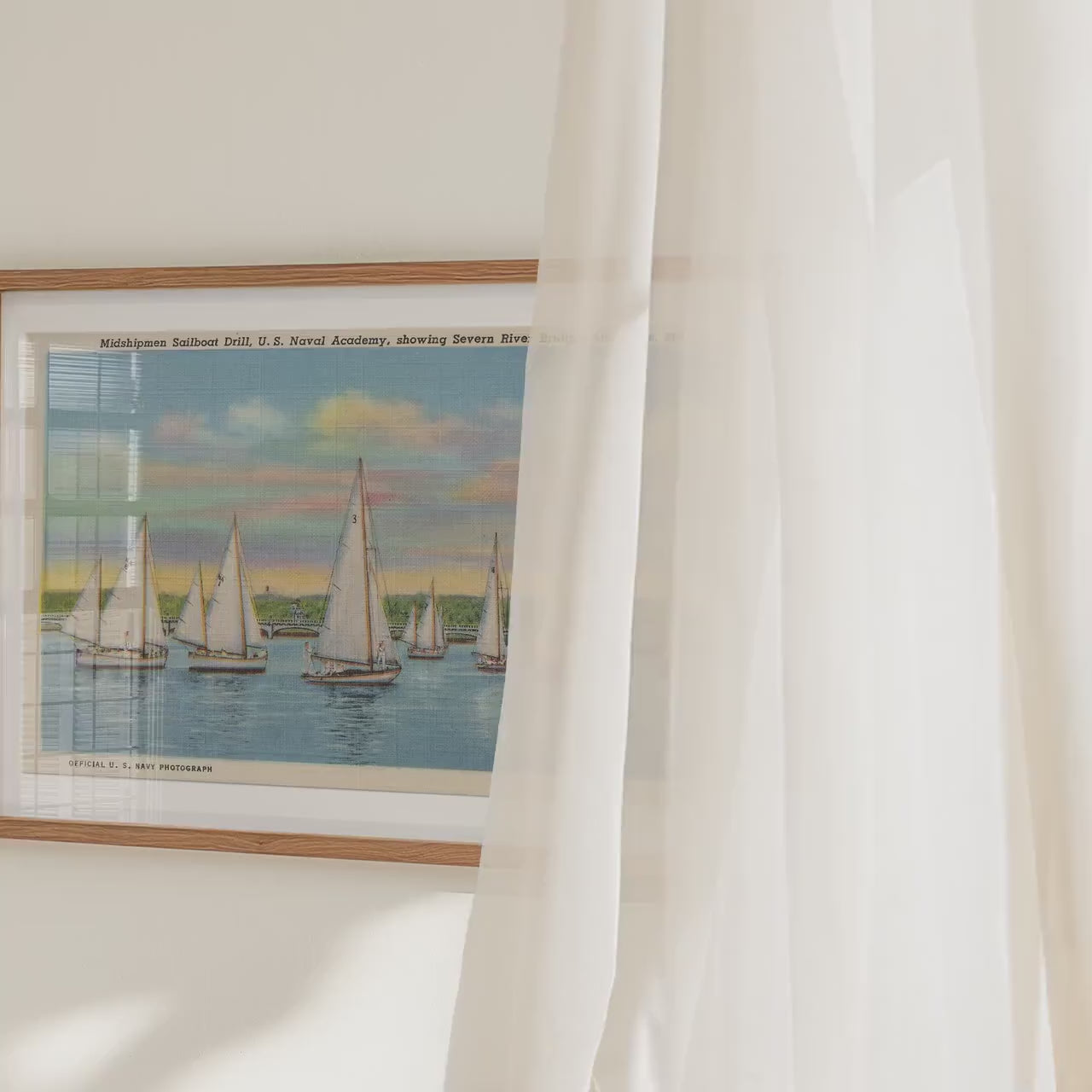 Sailboats on the Severn River Annapolis Maryland Landscape Poster   Postcard