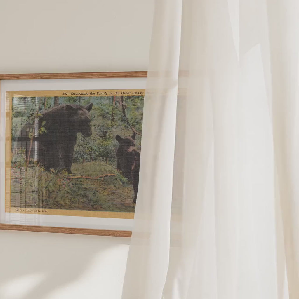 Black Bears in the Woods Poster   Postcard