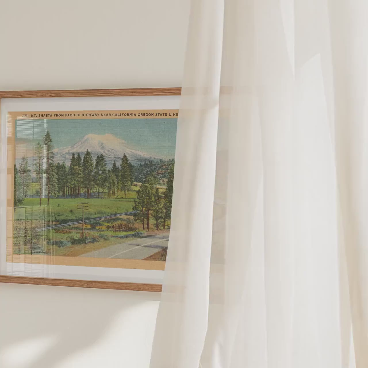 Mt. Shasta Landscape Poster   Postcard