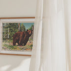 Grizzly Bear