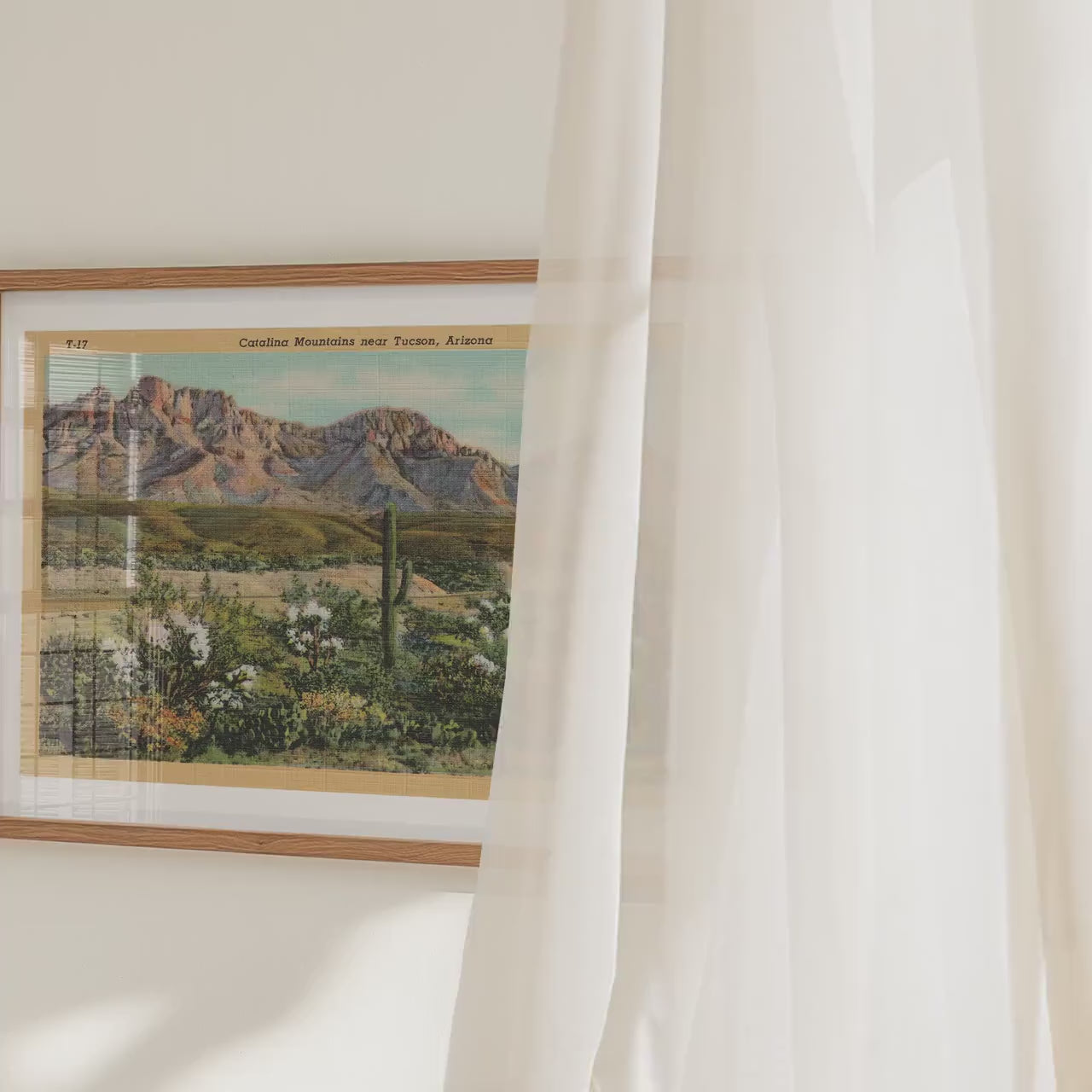 Desert Mountains Poster   Postcard