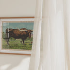 Longhorn Cow