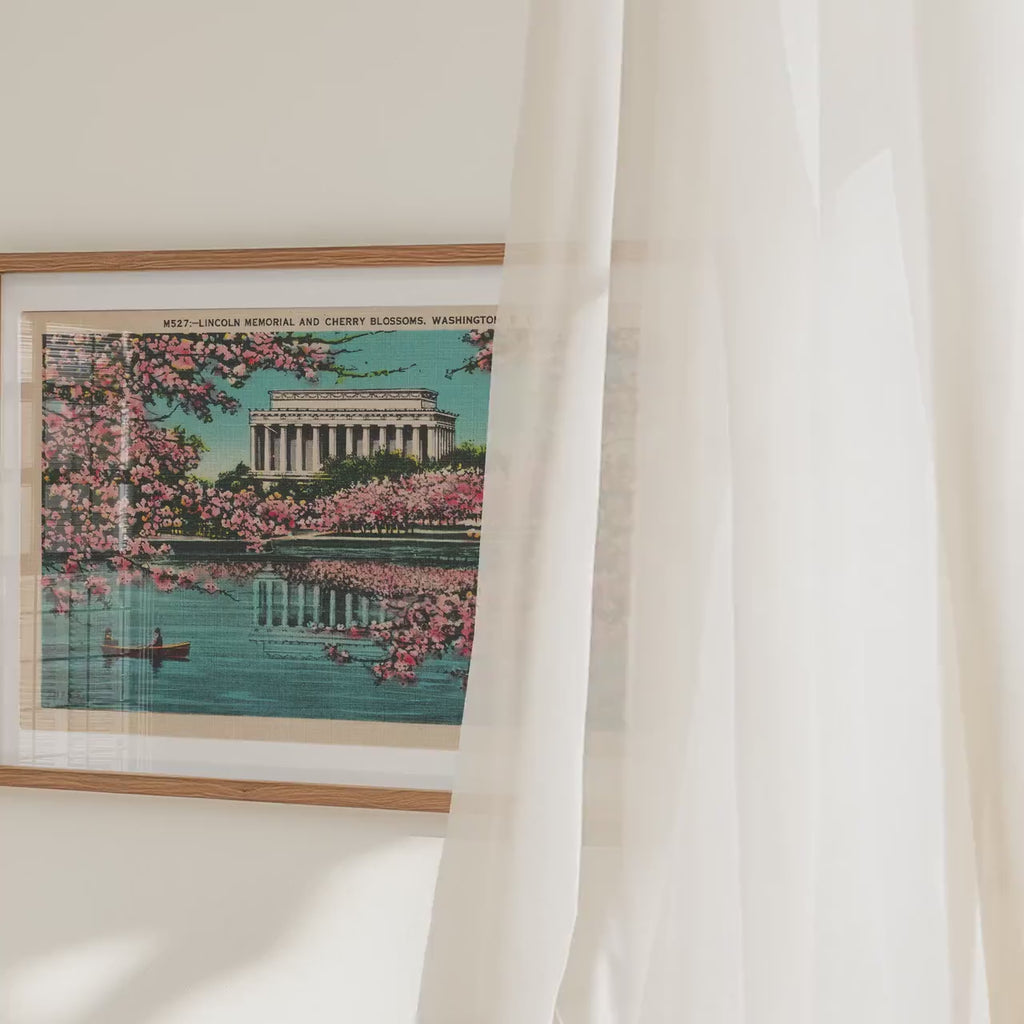 Lincoln Memorial in Cherry Blossoms Washington D.C. Poster   Postcard