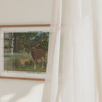 Deer in the Woods