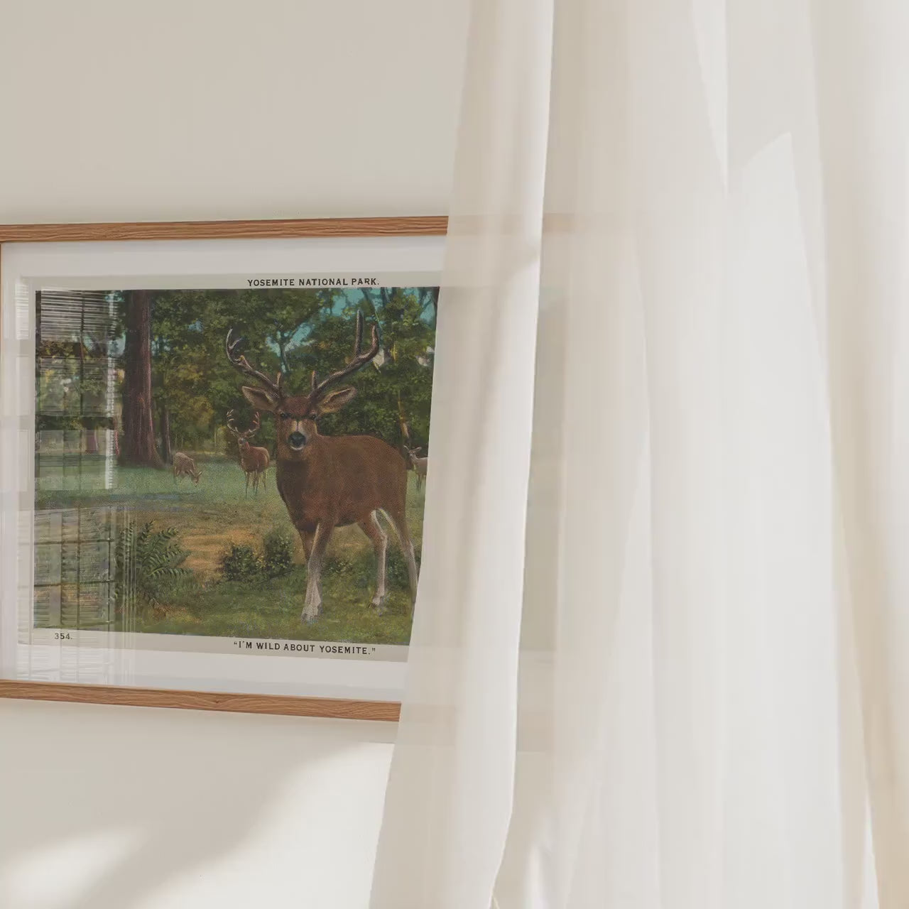 Deer in the Woods   Wildlife Illustration Postcard : Fine Art Paper Print Framed or Unframed